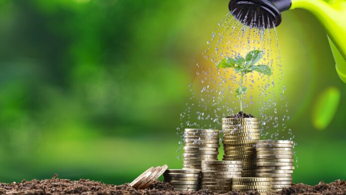 Watering plant on money stack